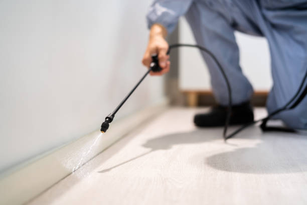 Licensed Exterminator service in Onancock, VA - Show Me Pest Control
